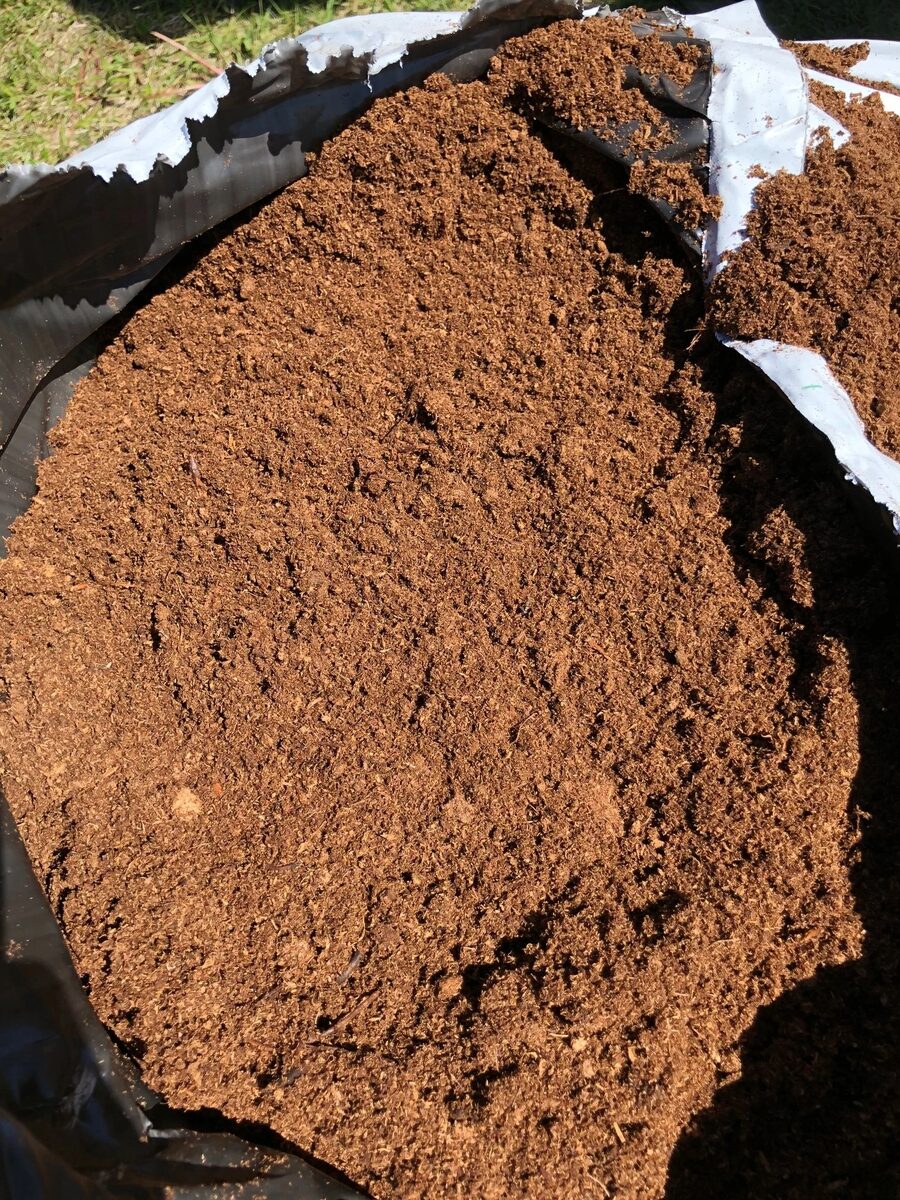 BEWISE natural peat moss